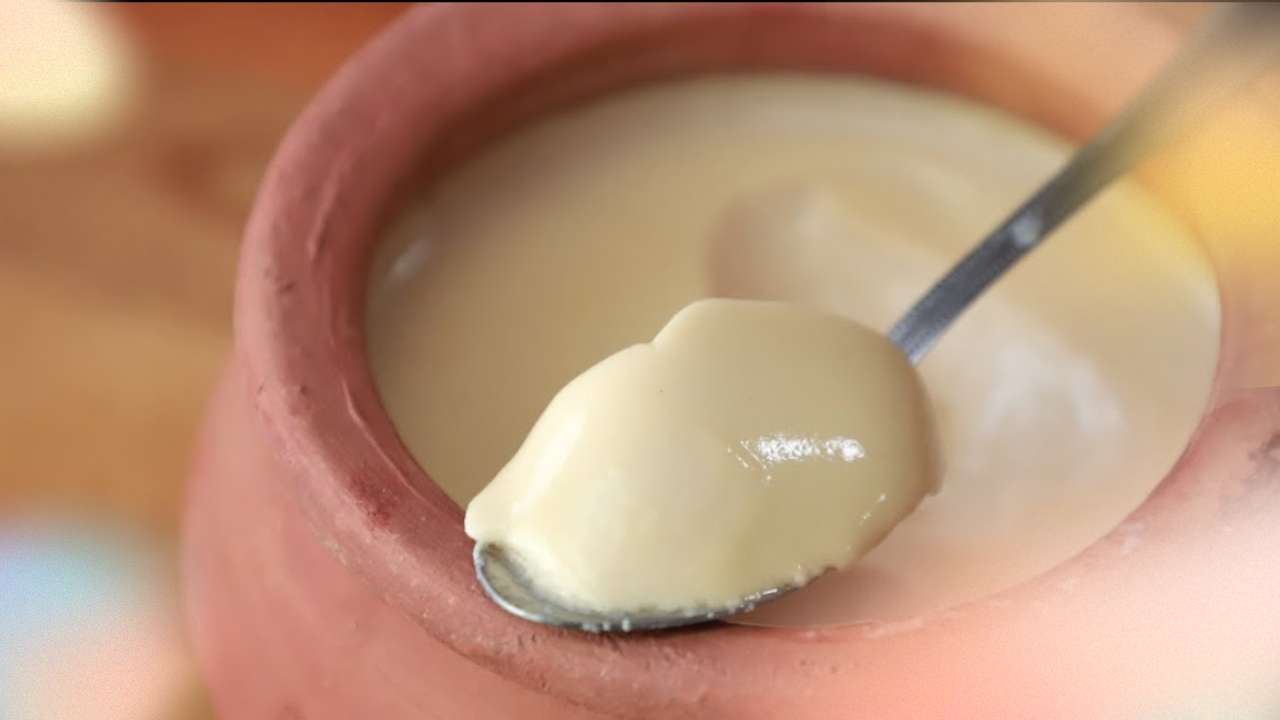Bengali Mishti Doi Recipe